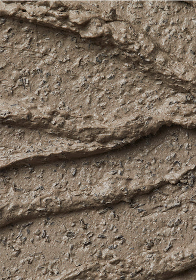 Masque Purifiant Éclat au Charbon de Bois de l’Himalaya