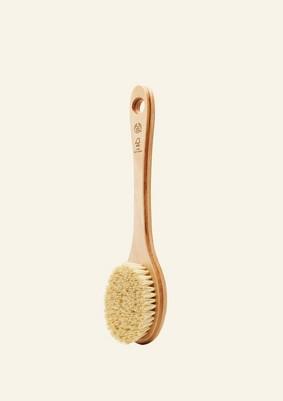 Brosse en Cactus