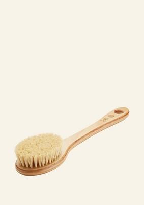 Brosse en Cactus